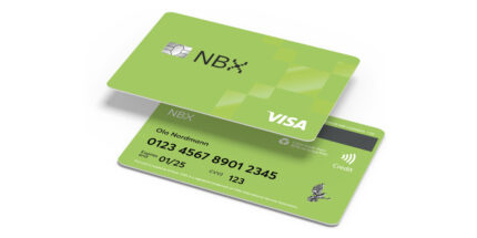 Buy Clone Card Norway online